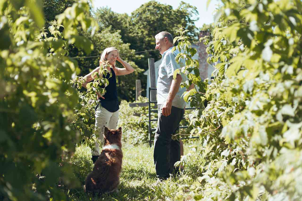 Raspberry picking with our hosts Bill, Amy & Fin