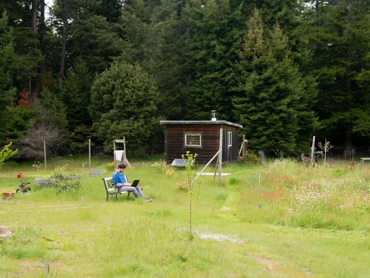 The cabin in spring. Bench with garden view right in front of it.