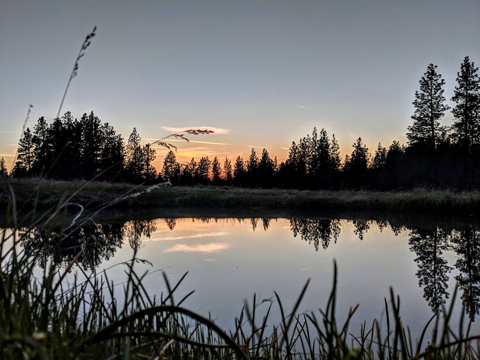 Wildheart's seasonal pond is filled with spring water from October to May. 