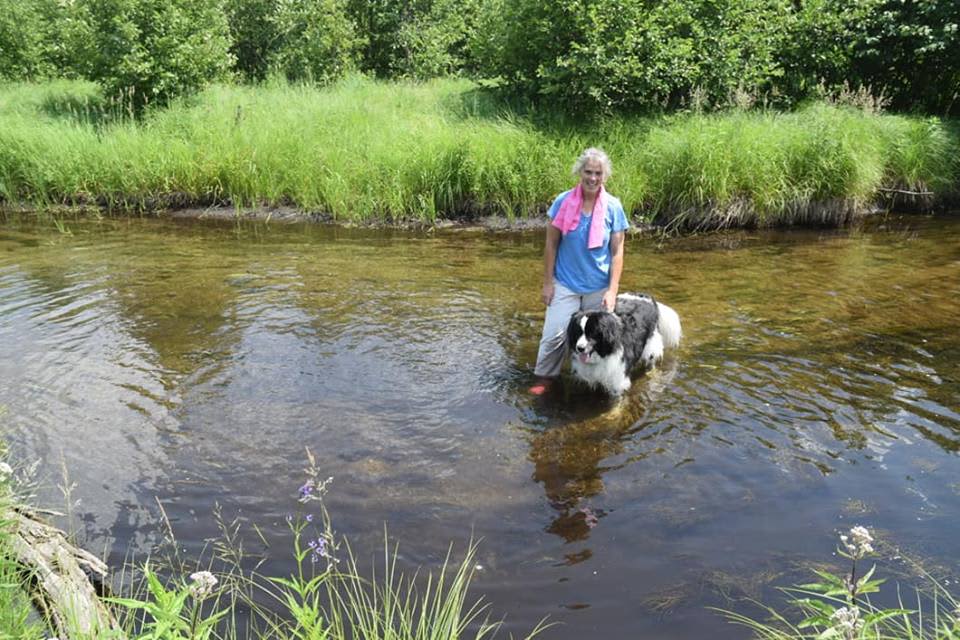 On a hot day you can take a walk to the river to cool off! 