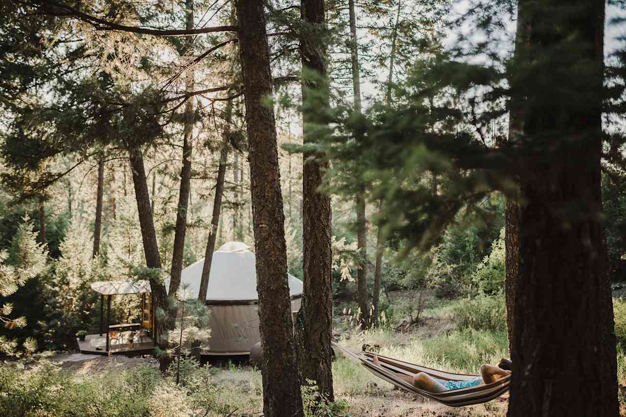 The hammock above the yurt.