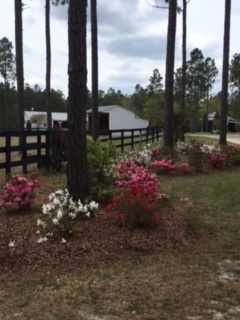 Entrance to property with 3rd run in shed in back ground.