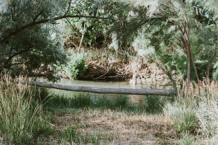 Bench at Campsite 1