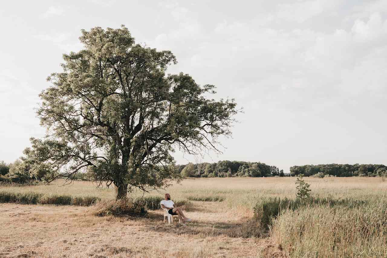 Idk if this lonely chair was here because this is a perfect shade tree, but I used it and loved it either way.