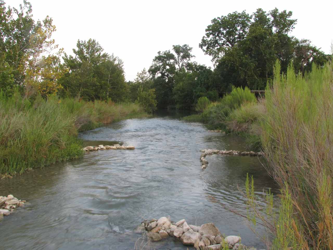 The river was low, but really beautiful. Plenty for us to get in and cool ourselves off the entire weekend.