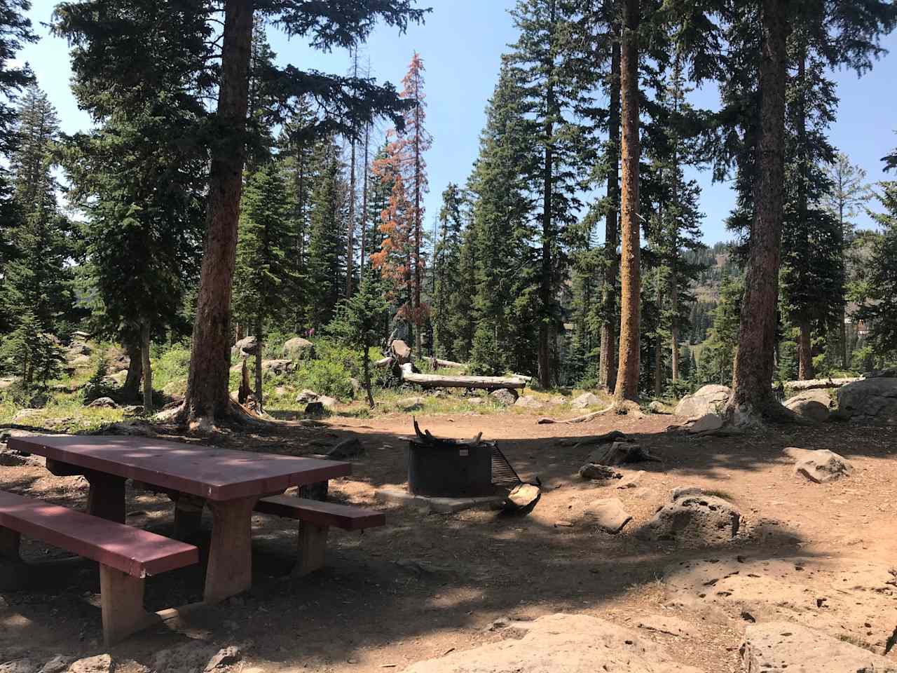 Little Bear Campground