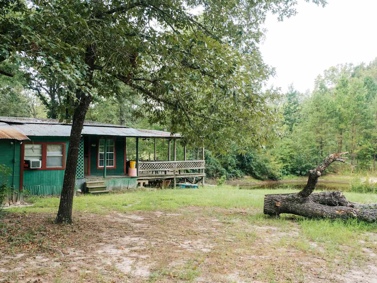 Great yard space with fire pits, hammock spots, swings, etc.