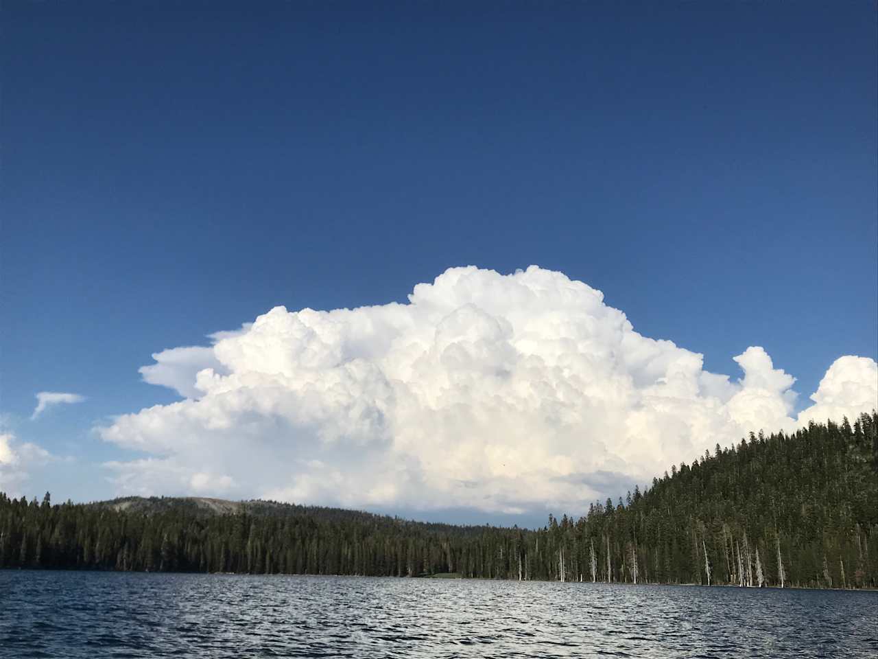 Meadow Lake Campground