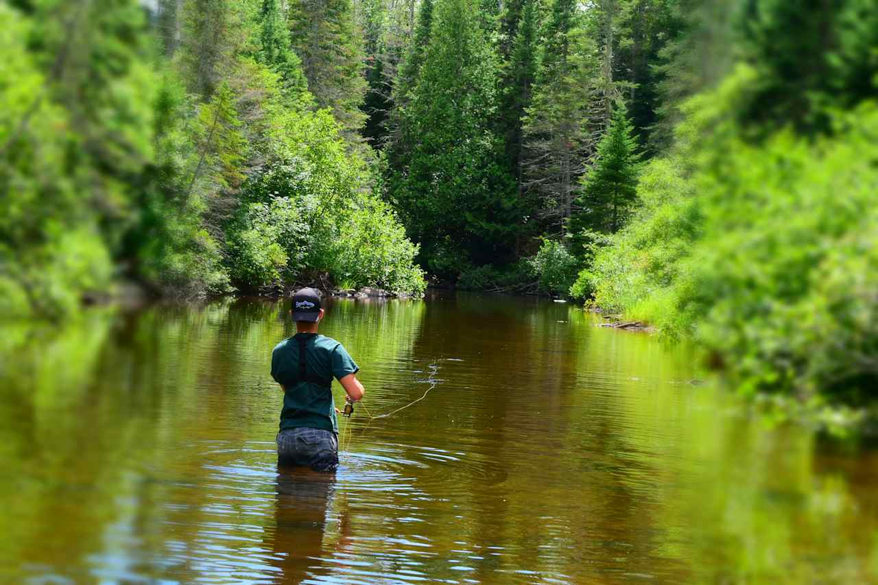 Flyfishing one of the countless rivers and streams. 