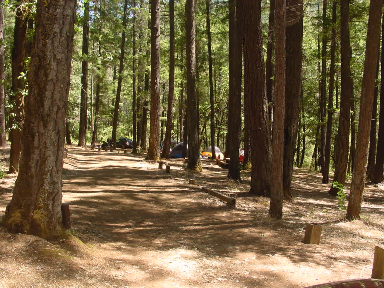 SMALL CAMPGROUND BUT A PERFECT PLACE TO GET BACK TO BASICS