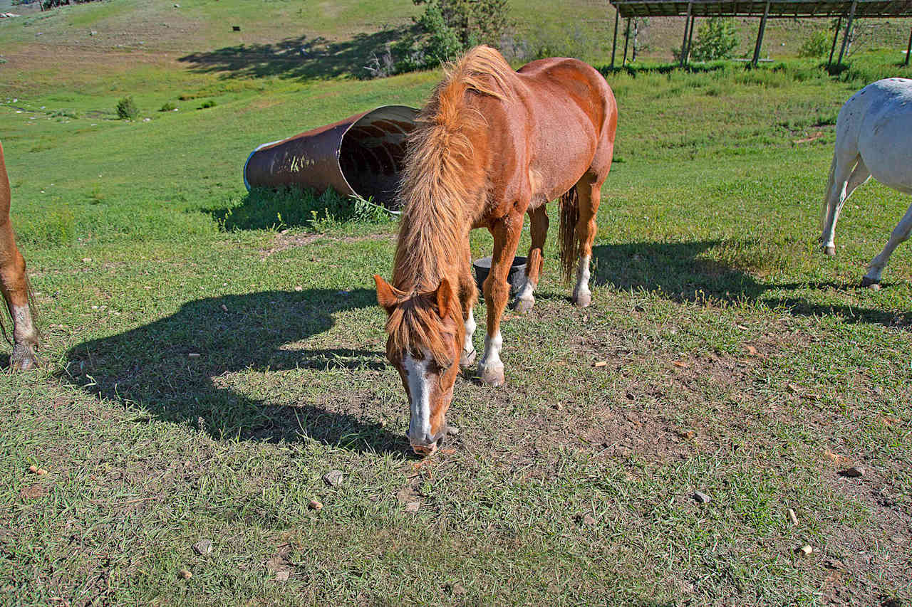 Eden Valley Guest Ranch