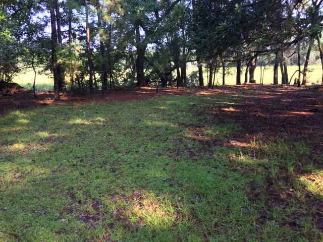 Hanscombe Point Plantation