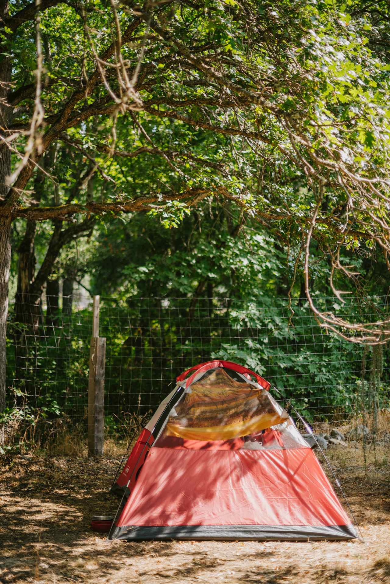 Tent site behind the main house. 