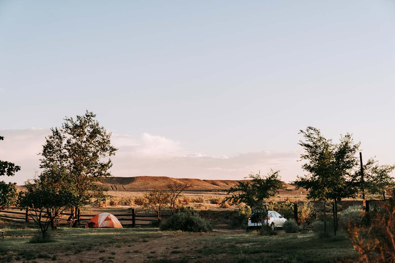 Wide view of campsites.