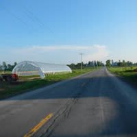 Here's a long view of the high tunnel near the road.