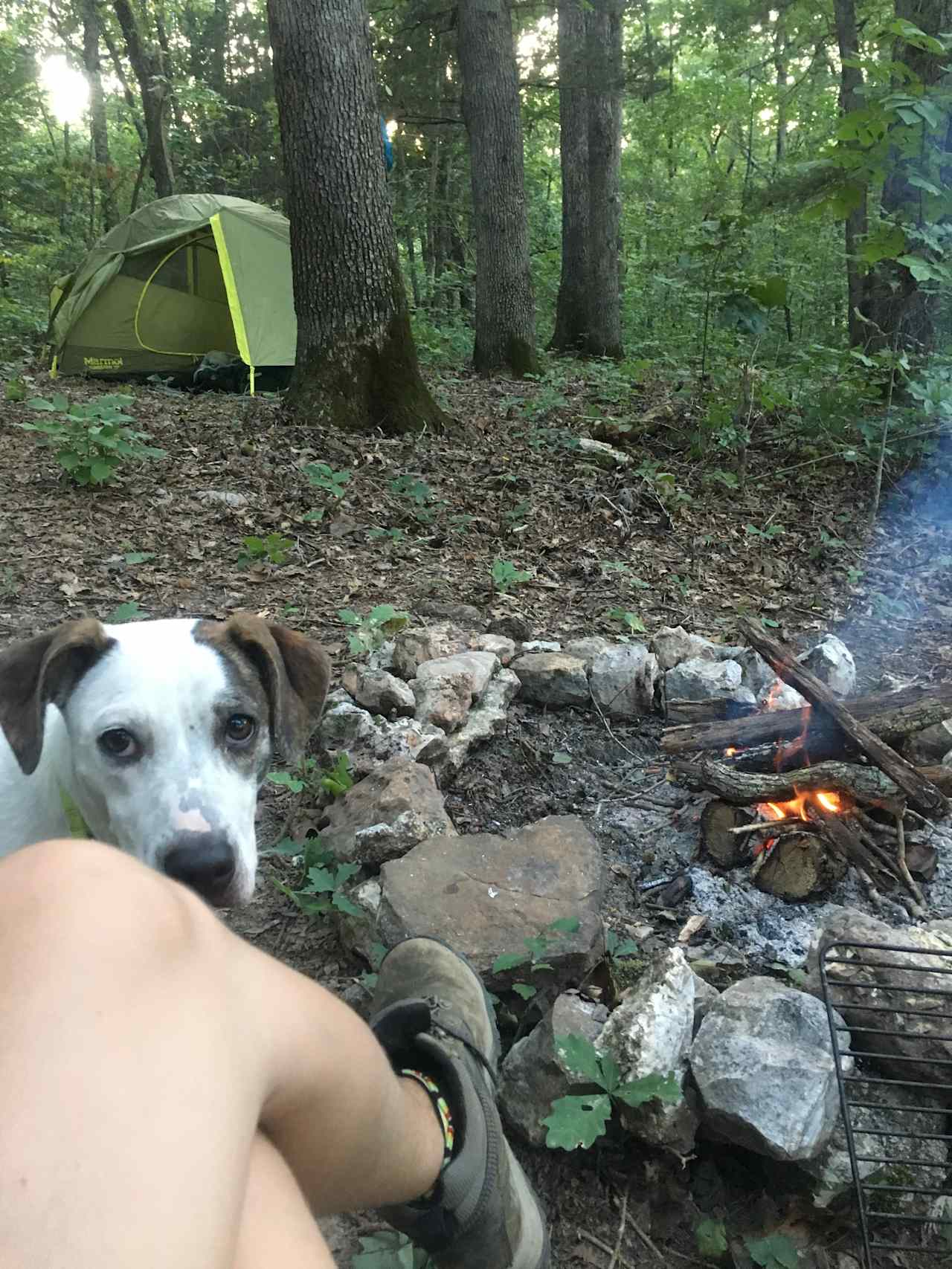 Dog friendly camp =)