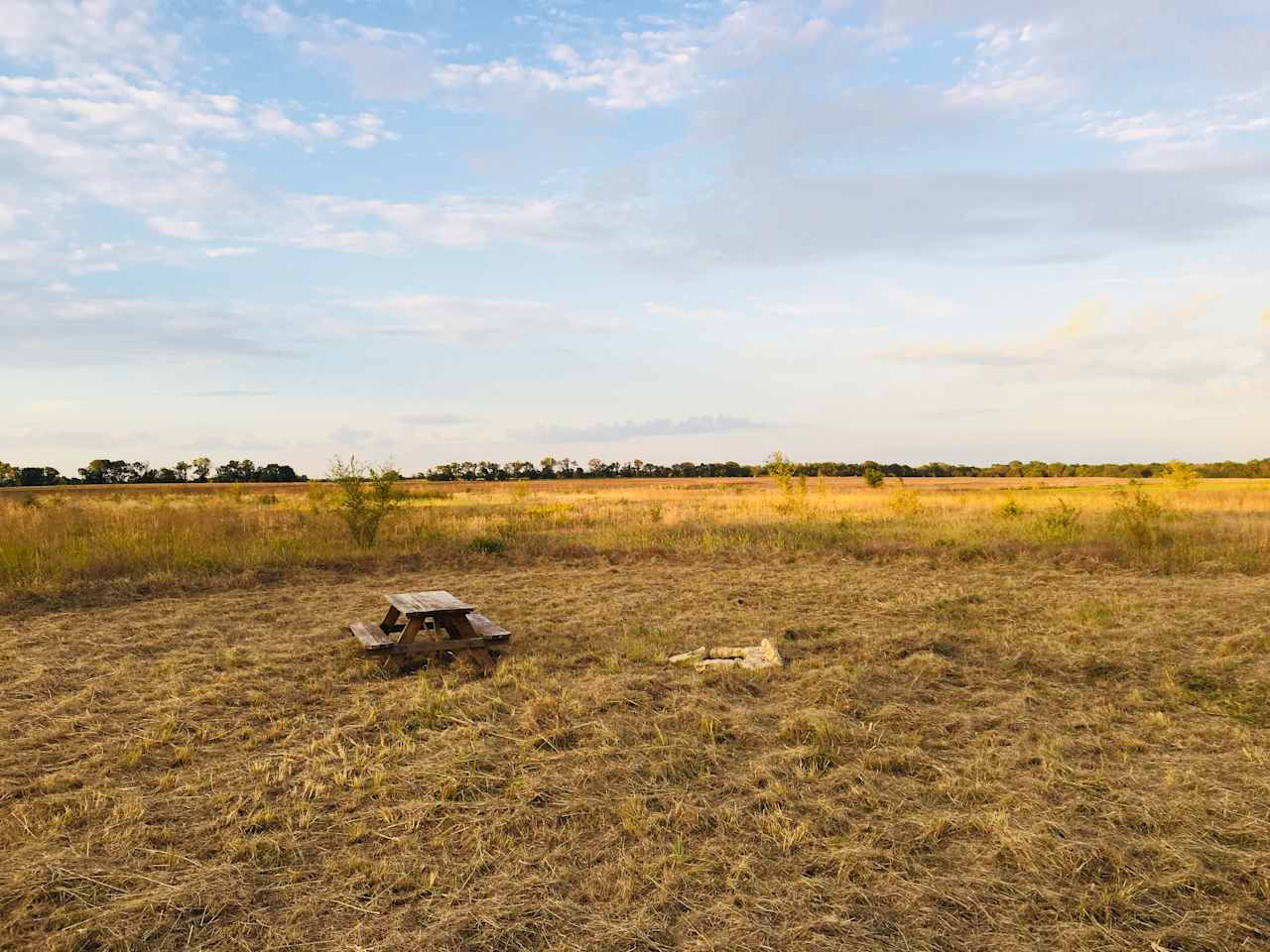 Hayseed Farm