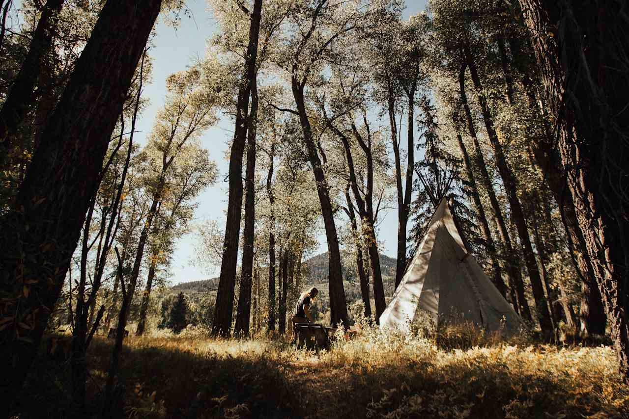 Finding a good tent spot under the shade of the trees 