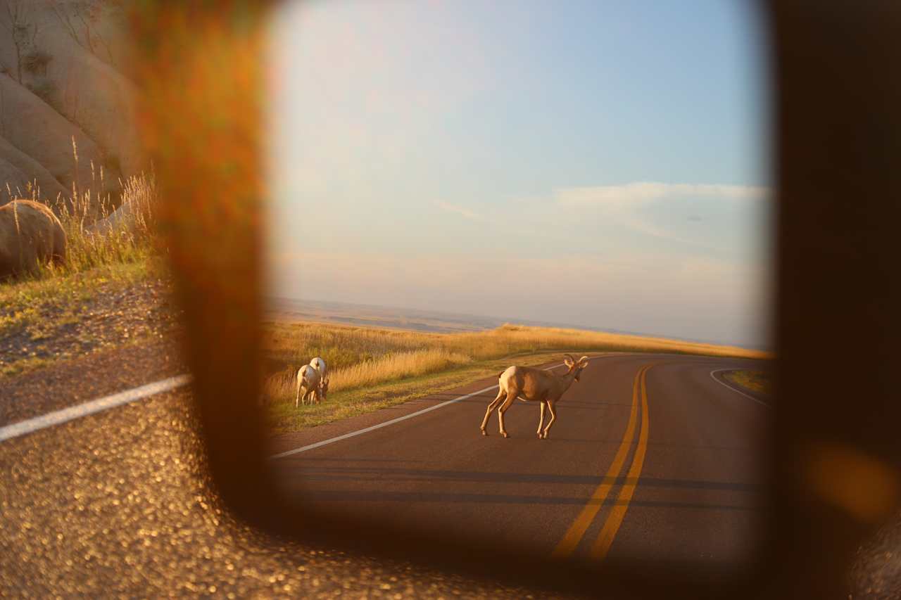 Sage Creek Campground