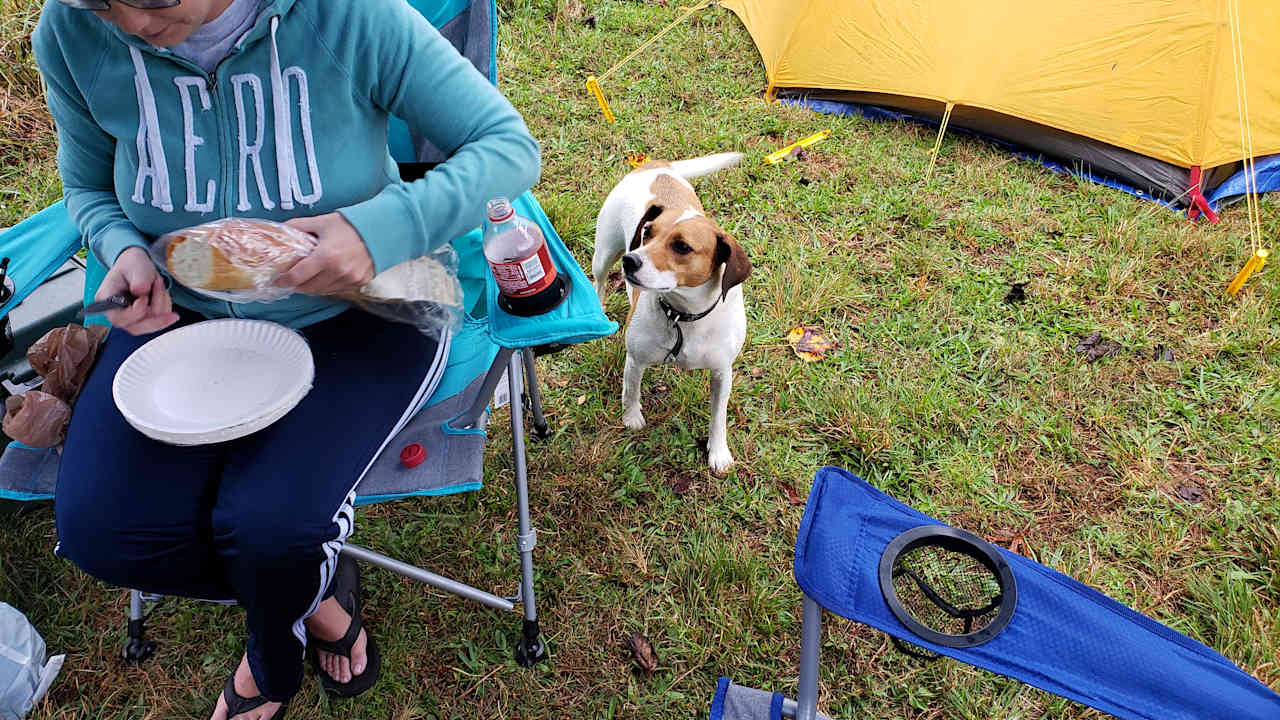 The farm dog.  Super friendly