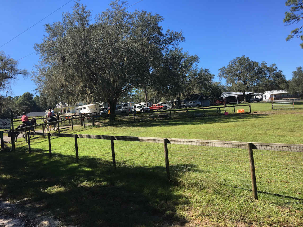 A view of the camping area from a far. There are six sites with electric, water, and sewer hookups. The rental cottage is to the right. 