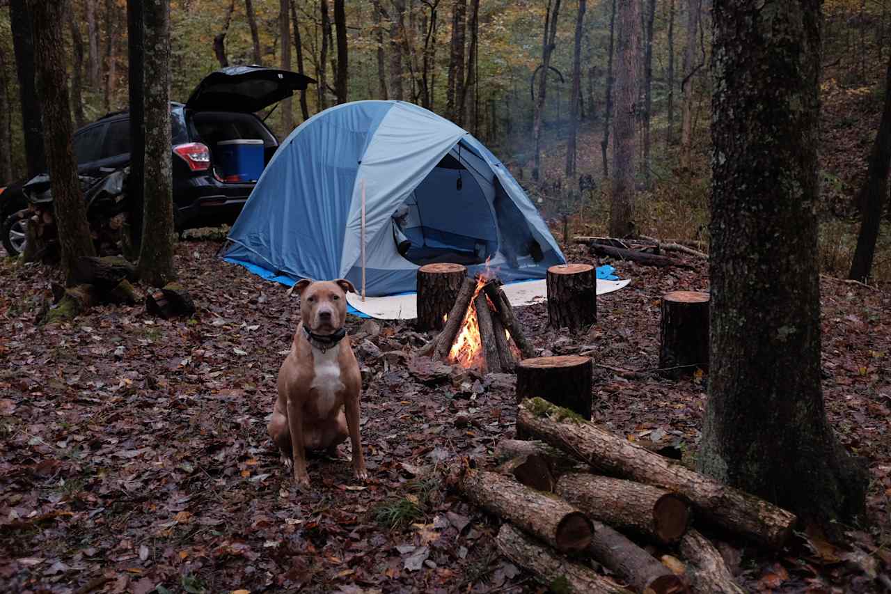 Fern Brook Nashville