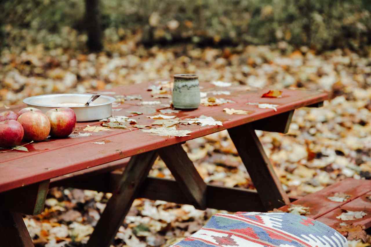 The Turkey Hollow Campground