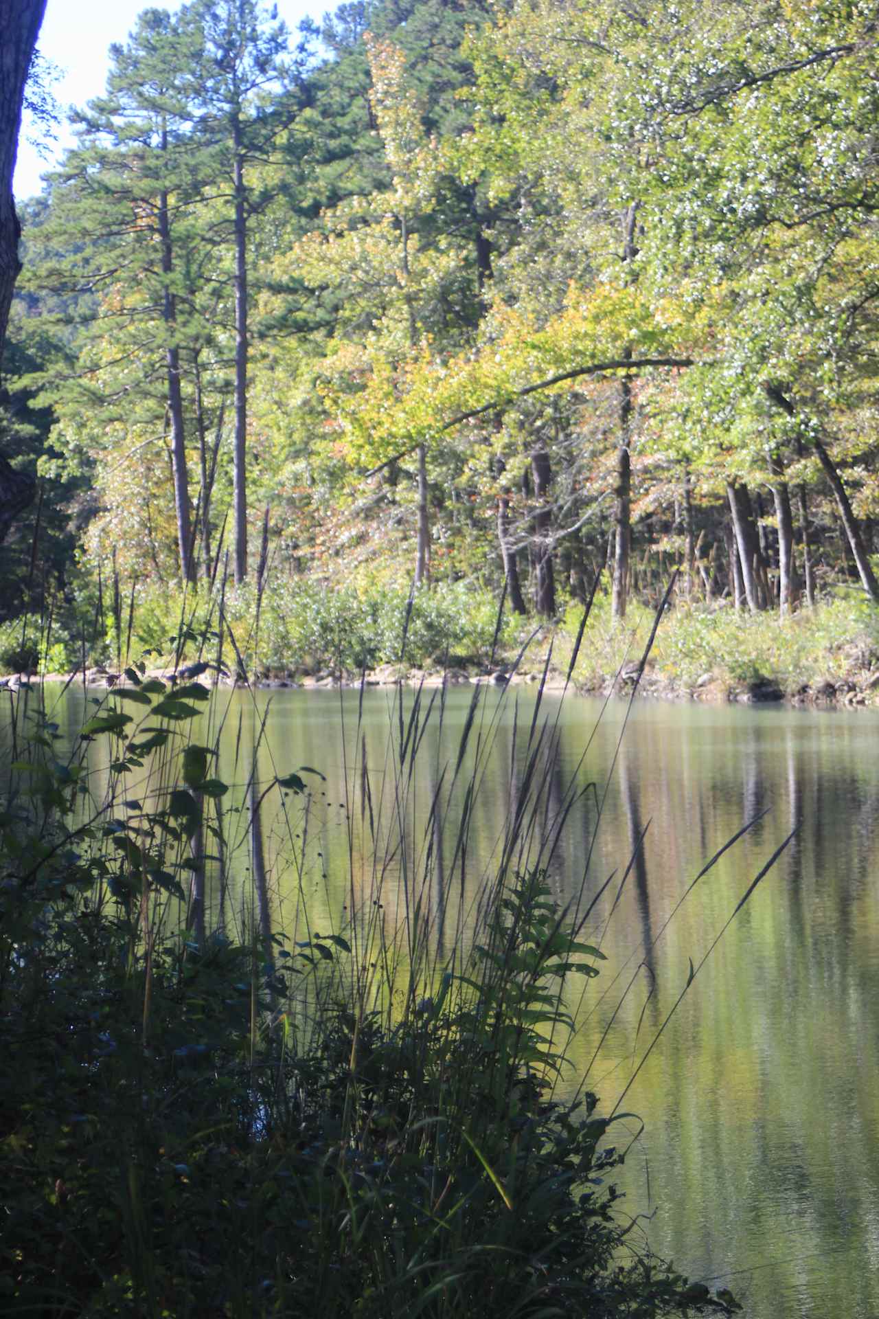 Big Brushy Campground