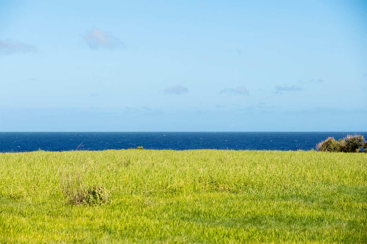 Palikū Campsite