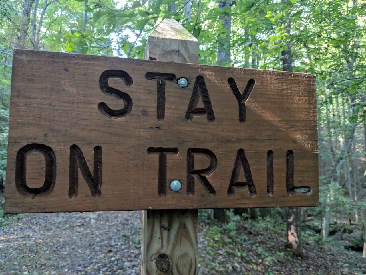 Trails are clearly marked. We did wonder if we were on the correct trail to Bird Mountain campsite, but once we got up the Castle Rock, there was a sign pointing out the way!