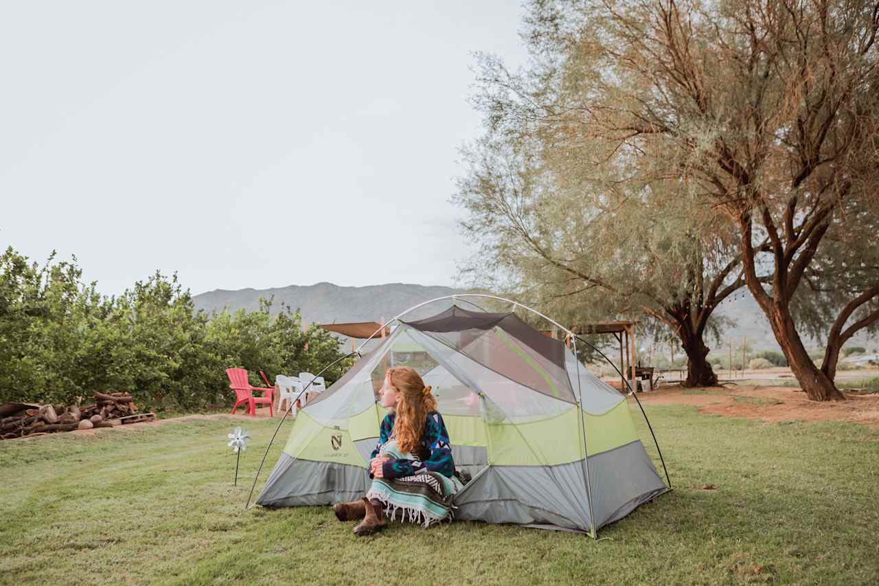 Lots of space on this nice flat grassy patch to pitch a tent or multiple tents! 