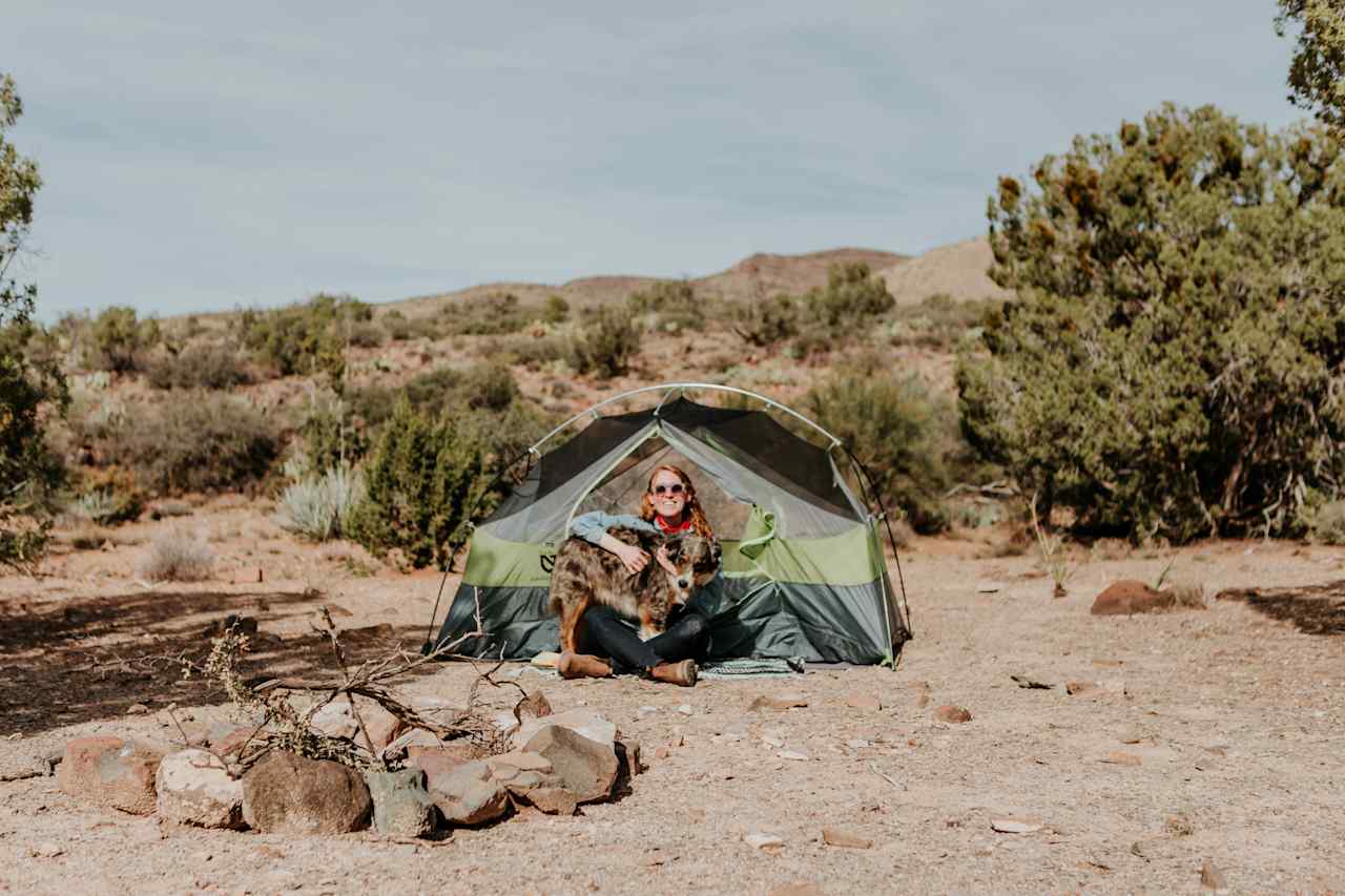 I wish I could have taken this doggo with me! 