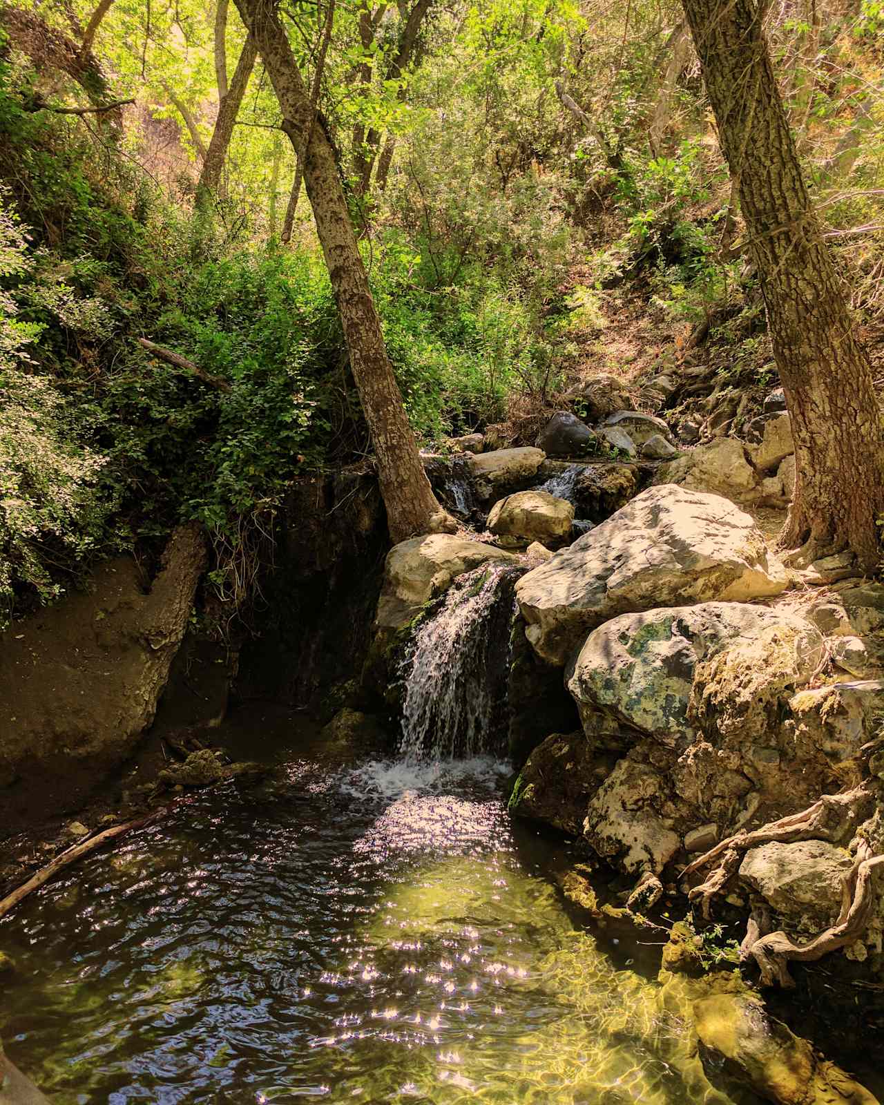 Nice little water fall to dip in during the hot summer 