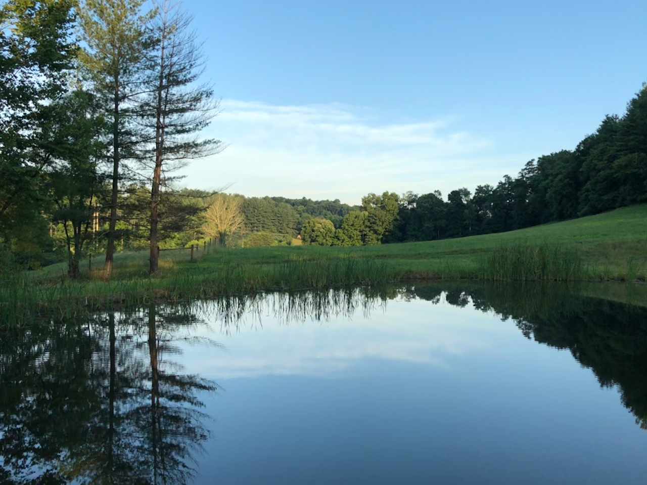 Our peaceful pond 