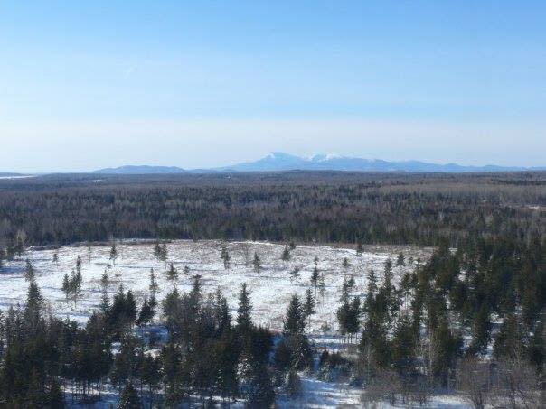 Homestead in the winter....