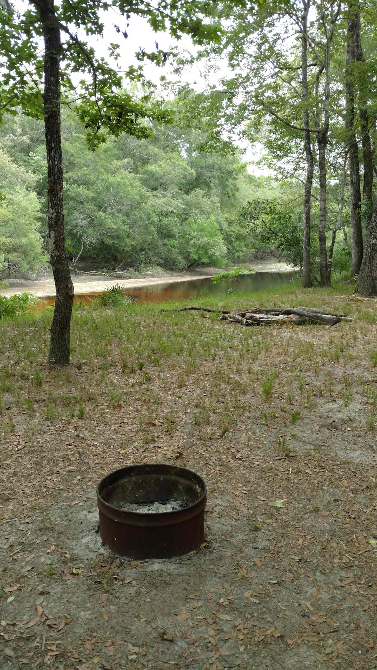 View from pioneer camping area, no services just beautiful surrounding 