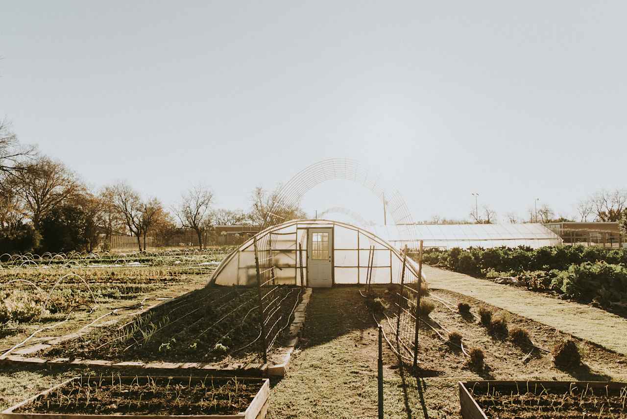 Despite being in the middle of Austin, the farm is quite large. Enjoy rows and rows of green veggies, raised beds, and a large greenhouse!