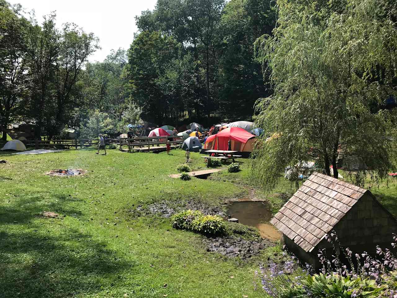 Camp by little spring fed streams