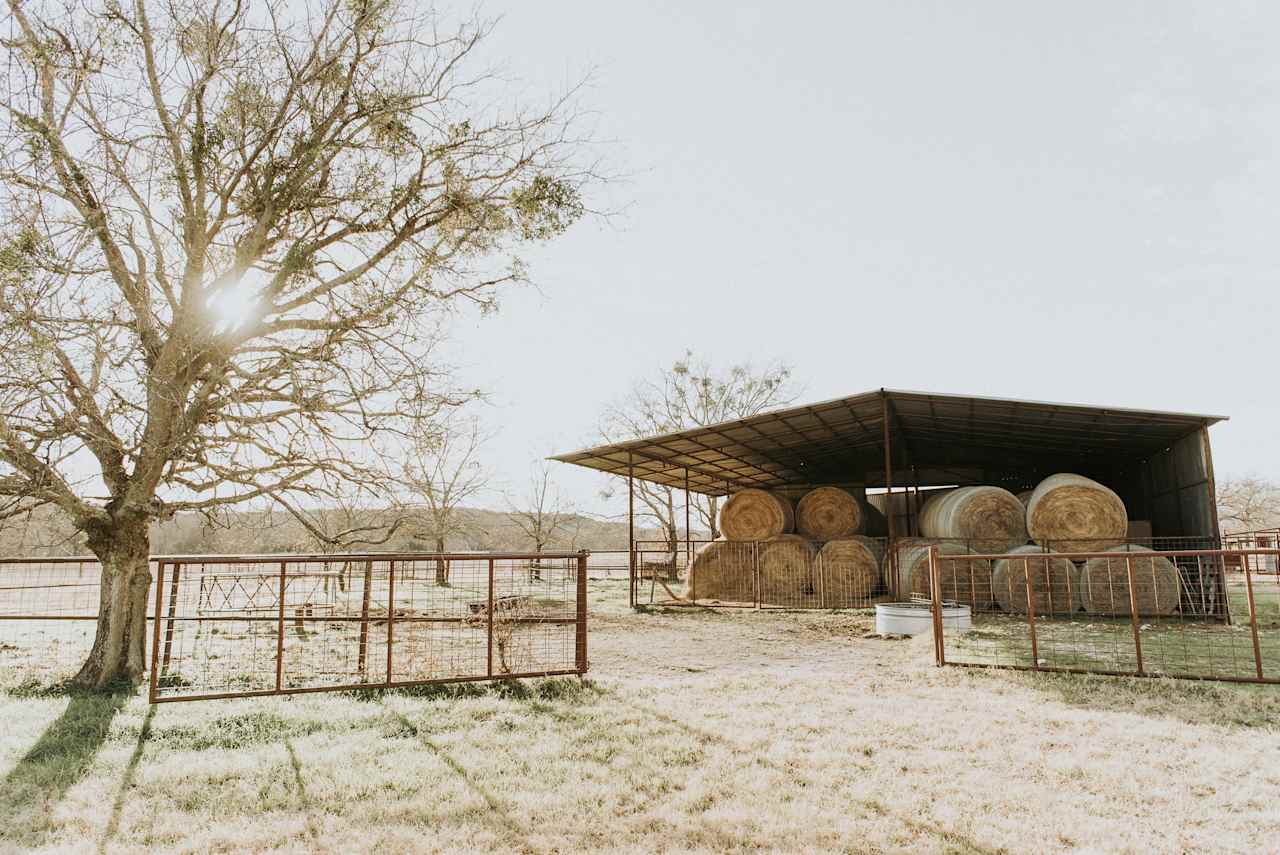 The barn. The water spigot is located by the water trough in front.