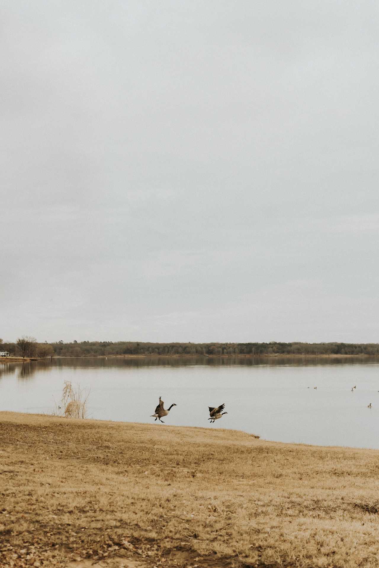 this is Paradise on Lake Texoma