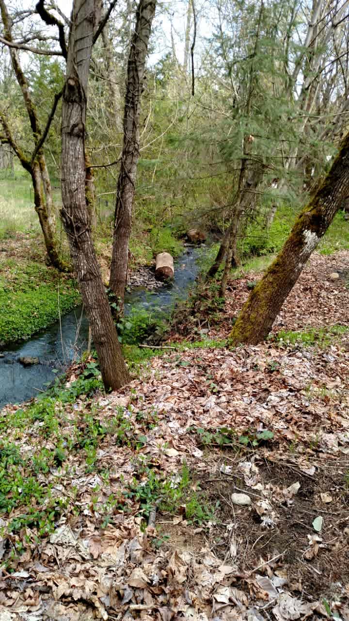 sleep to the stream flowing near