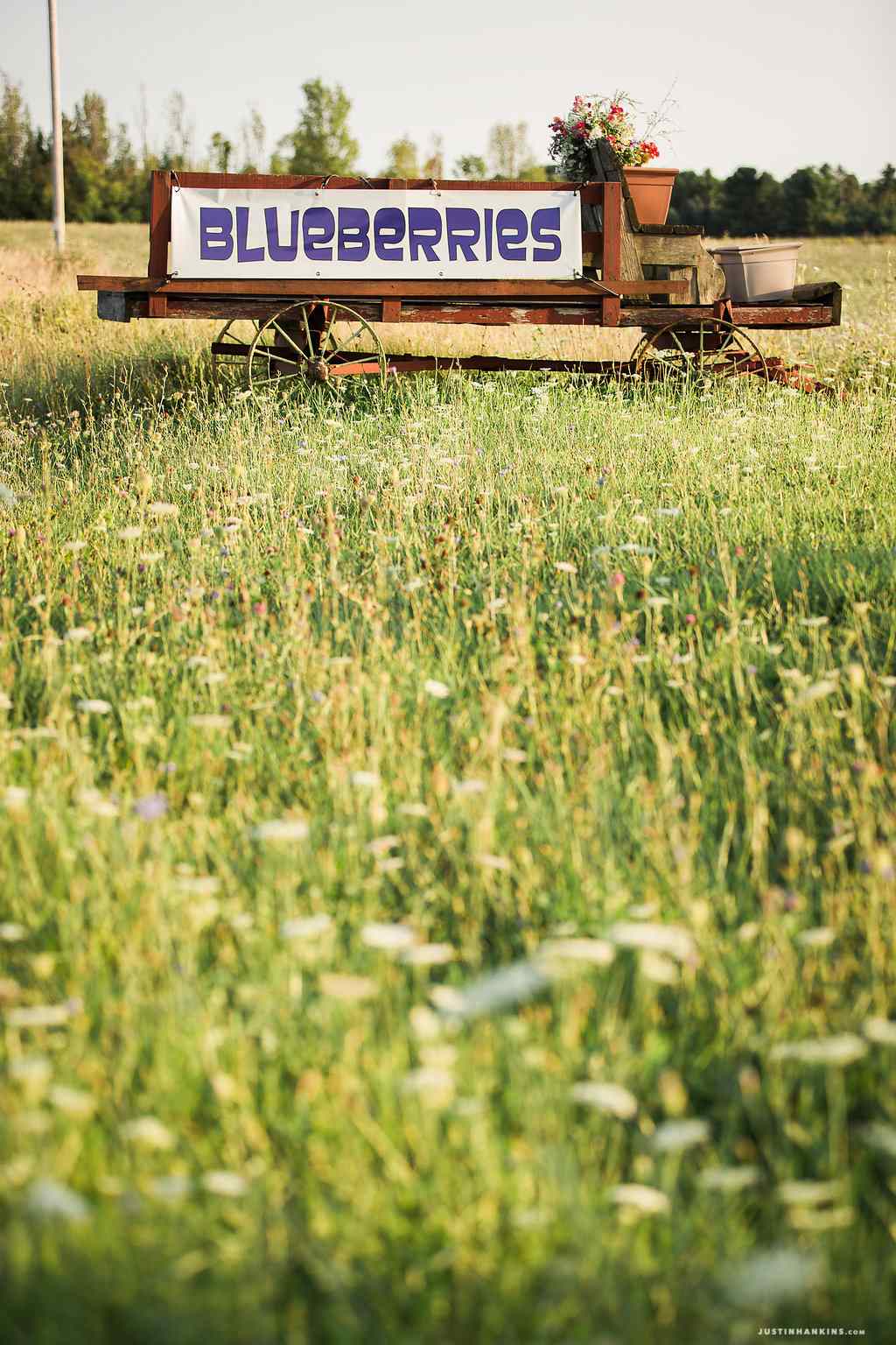 Fresh fruits and produce available for campers on the farm.