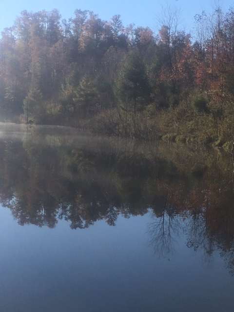 Another of the many beaver ponds
