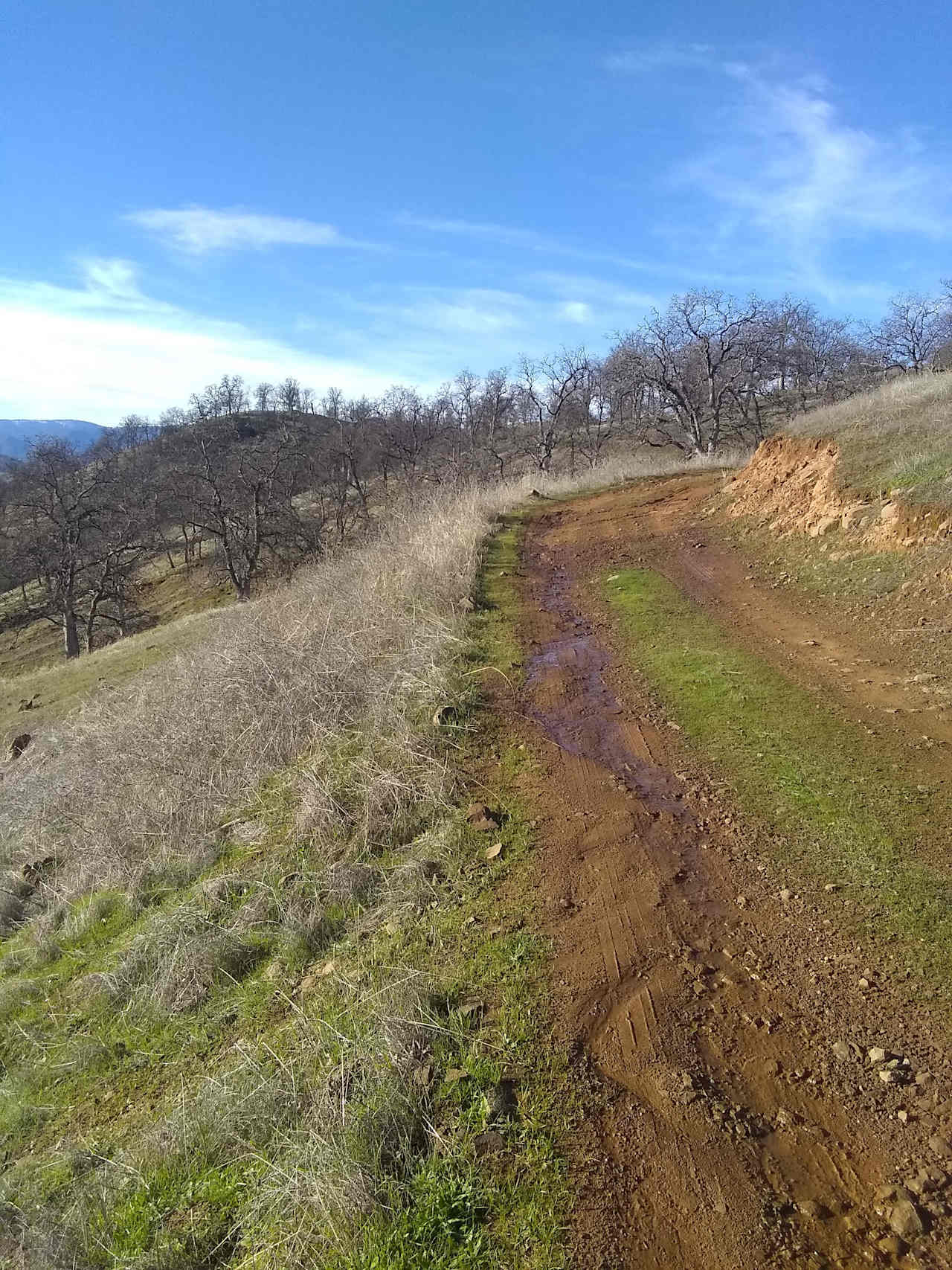 Road going to the ridge.