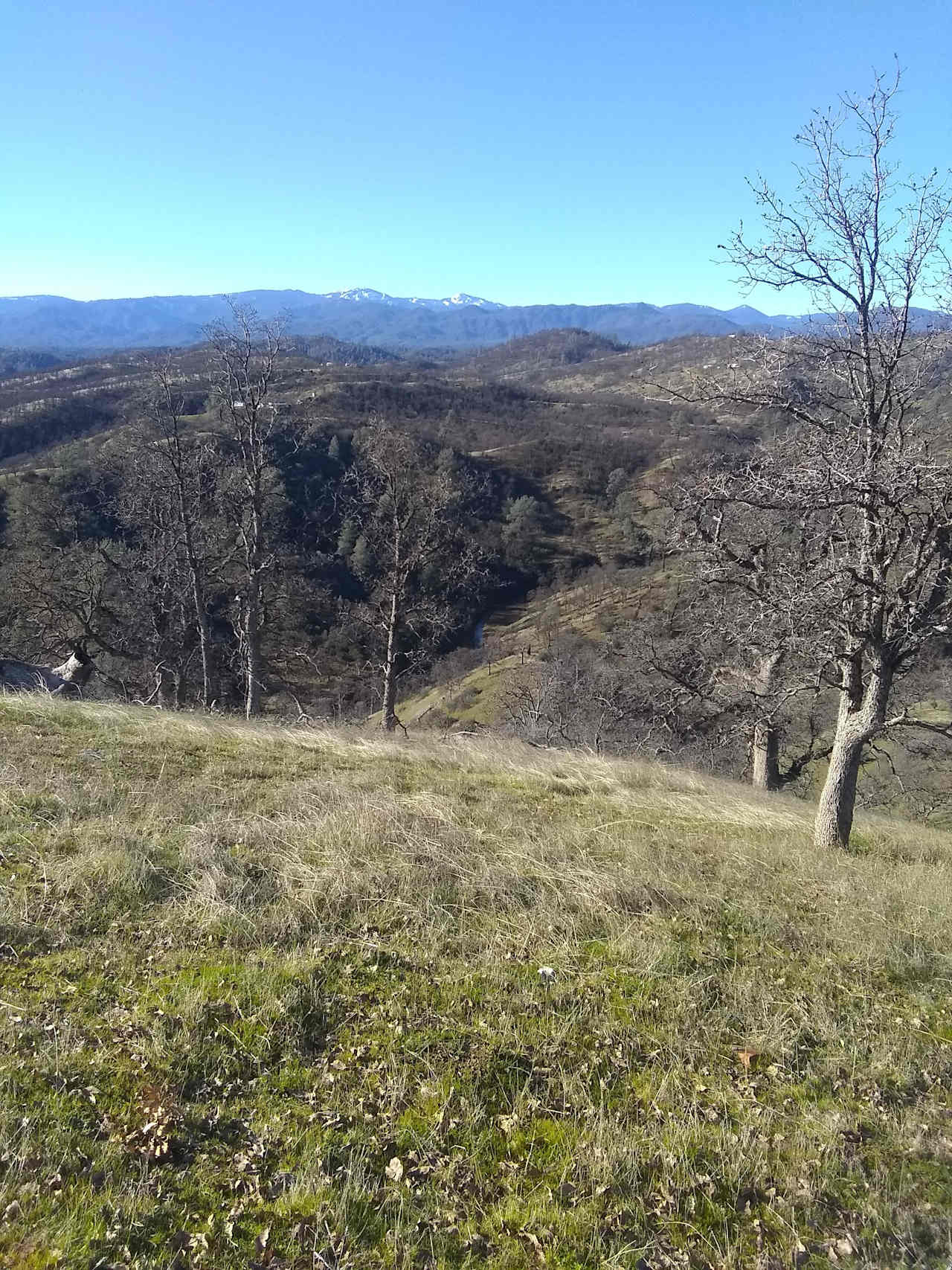 View of the seasonal creek at the bottom of base camp.