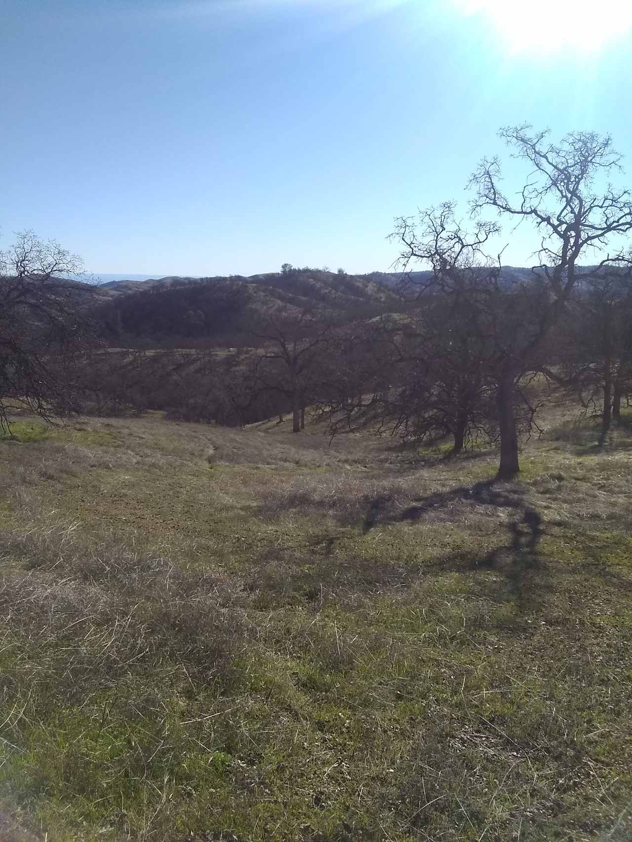 View of the landscape.