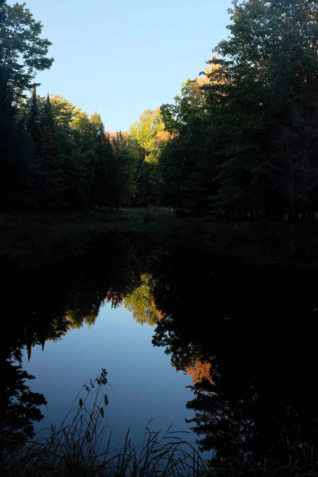 The pond (run off not spring)