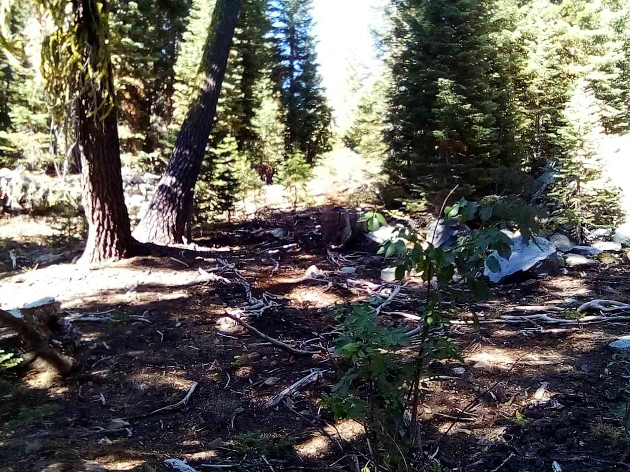 another angle near ribbon