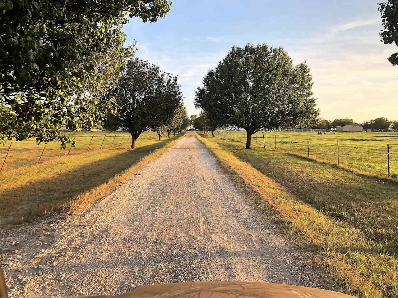 Driveway coming onto property in front.