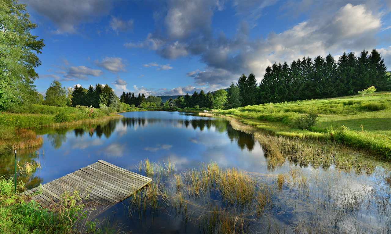 Underhill Forest and Farm